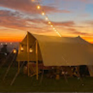 Meet your Posher, Birdsong